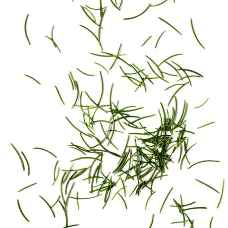 Tis the season for pine needles